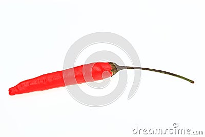 Tabasco, chili pepper, Capsicum annuum Stock Photo