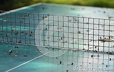 Tabble tennis table Stock Photo