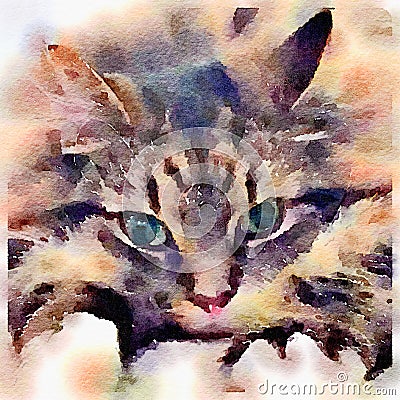 Tabby cat in water colour paint Stock Photo