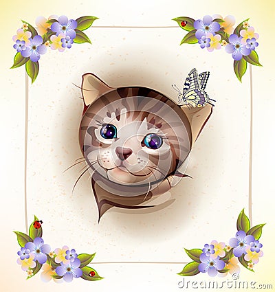 tabby kitten and butterfly Vector Illustration