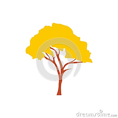 Tabebuia chrysotricha golden trumpet tree icon Vector Illustration