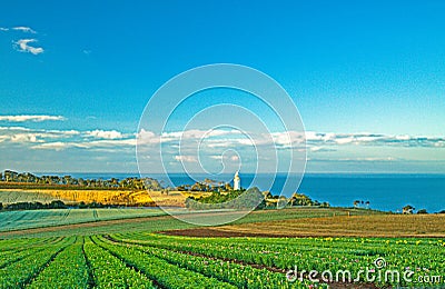 The view of Table Cape with off season tulip farm, Table Cape Lighthouse and the sea of Bass Strait in Tasmania, Australia. Stock Photo