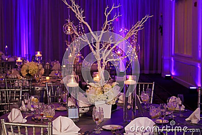 Table decoration for a Winter Wedding Stock Photo