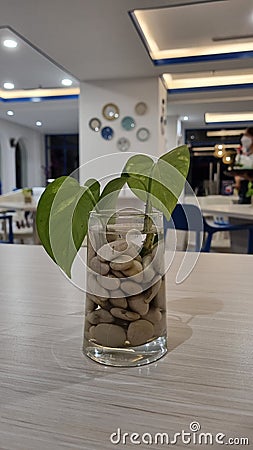 Table decorations, pots with glasses and white stones and decorative plants Stock Photo