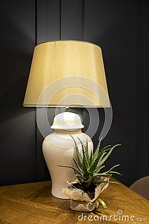Table lamp on wooden deck. Small aloe in flower pot in foreground. Black background Stock Photo