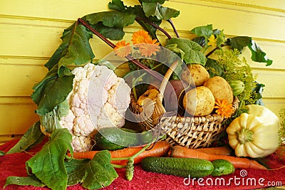 On the table with the red tablecloth is a basket with three potatoes, beets and cucumbers, a head of cauliflower and zucchini, lo Stock Photo