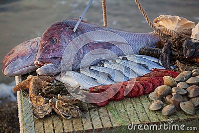 On the table are seafood: big fish, smaller fish, lobsters, mussels, oysters. The table stands on a pebble beach on the surf line Stock Photo