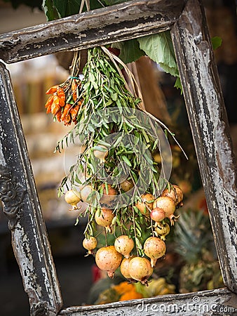 Tableau. Vegetables in frame Stock Photo