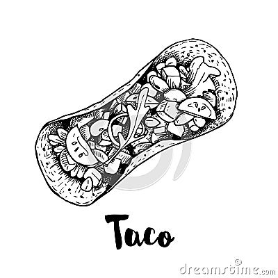 Taco top view. Sketch style hand drawn illustration of traditional mexican fast food. Best for restaurant menu and packaging desig Vector Illustration