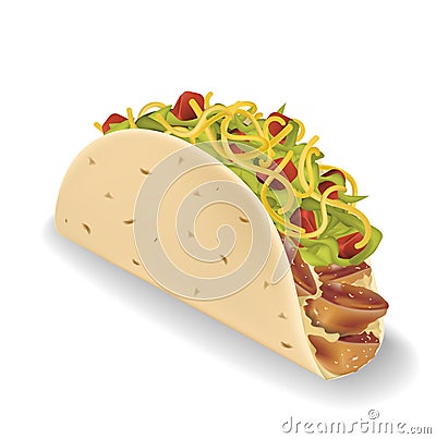 Taco vector illustration in realistic style. Vector Illustration