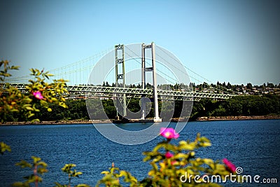 Tacoma Narrows Bridge Stock Photo