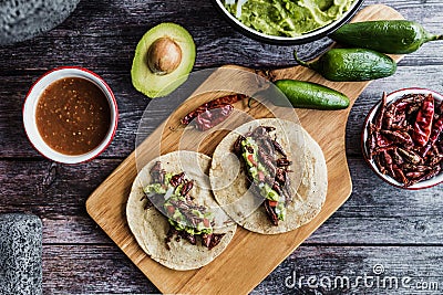 Tacos de chapulines or grasshopper taco traditional in mexican food with homemade guacamole sauce in Oaxaca Mexico Stock Photo