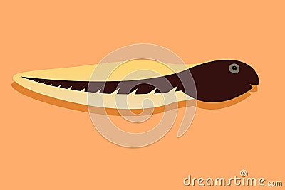 A Tadpole swimming simple illustration Cartoon Illustration