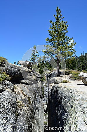 Giant Fissures, Taft Point, Yosemite National Park, California, USA. Stock Photo