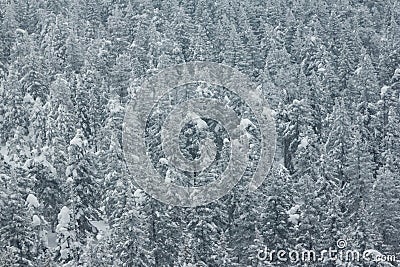 Taganai nature park with view of mountains and forest, Ural, Russia Stock Photo