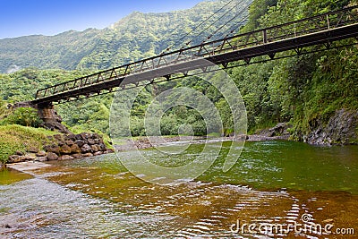 Tahiti. The bridge through the river in mountains. Stock Photo