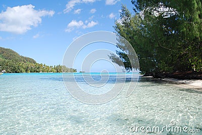 Tahiti Stock Photo