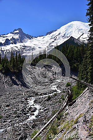 Tahoma from White River, Emmons Moraine Trail, Mt. Rainier National Park, Washington Stock Photo