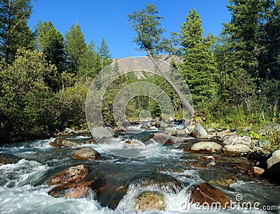 The taiga river. Stock Photo