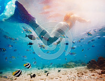Tail of the mermaid girl dive underwater with fish Stock Photo