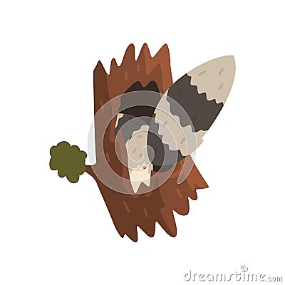 Tail of raccoon sticking out of hollow tree, hollowed out old tree and cute animal cartoon character inside vector Vector Illustration