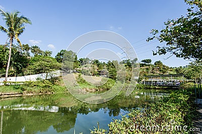 Tainan, Taiwan-November 17, 2017:Beauty views, blue sky and green trees in White Church Park for Tourism and Photo Shooting Editorial Stock Photo