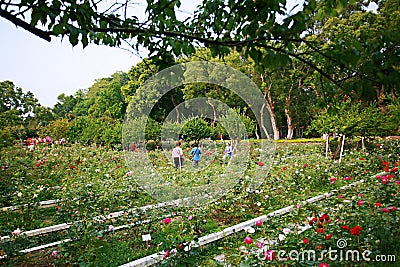 Shilin official residence Park Editorial Stock Photo