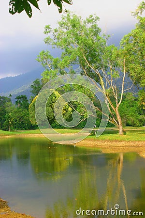 Taiping Lake Garden Stock Photo