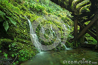 Taiwan, Taiping Mountain, Jianqing Ancient Road, forests, trails, mountain springs Stock Photo