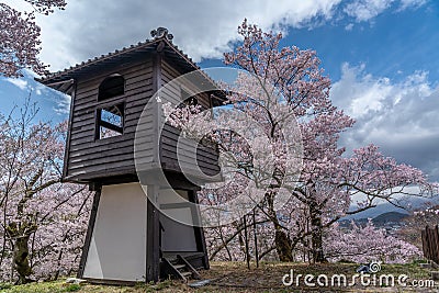 Takato Castle Ruins cherry blossoms Stock Photo