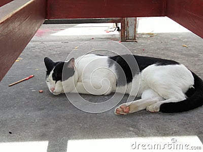 Take a nap Stock Photo