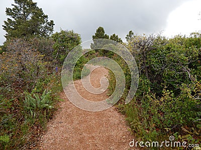 Take the path well traveled when hiking remote areas Stock Photo