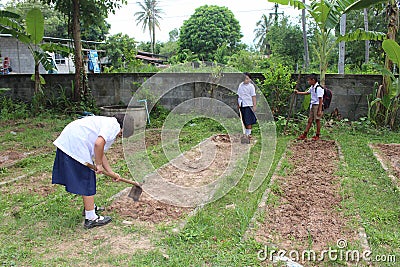 Take seeds to grow. Editorial Stock Photo