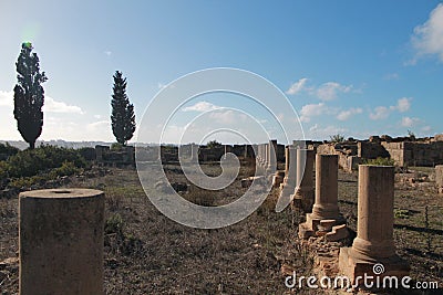 Temple in Lixus, Larache Stock Photo