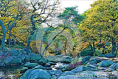 Glistening waters in Burbage Brook, near Padley Gorge, Grindleford, East Midlands. Stock Photo