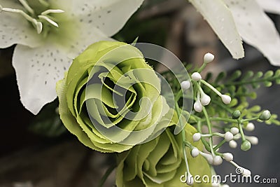 LIME GREEN ROSES STANDING OUT Stock Photo