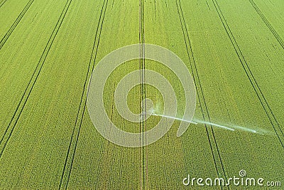 Taking care of the crop. Aerial view of irrigation system for agriculture, watering farmland Stock Photo