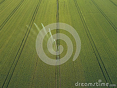 Taking care of the crop. Aerial view of irrigation system for agriculture, watering farmland Stock Photo