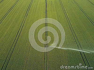 Taking care of the crop. Aerial view of irrigation system for agriculture, watering farmland Stock Photo