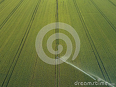 Taking care of the crop. Aerial view of irrigation system for agriculture, watering farmland Stock Photo