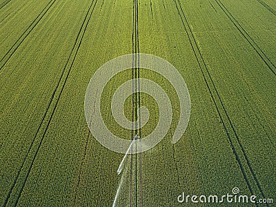 Taking care of the crop. Aerial view of irrigation system for agriculture, watering farmland Stock Photo