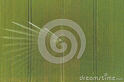 Taking care of the crop. Aerial view of irrigation system for agriculture, watering farmland Stock Photo