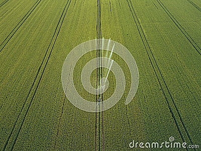 Taking care of the crop. Aerial view of irrigation system for agriculture, watering farmland Stock Photo