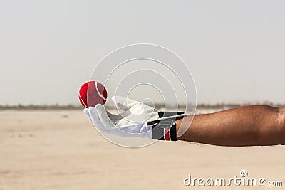 Taking the catch of red ball with hands Stock Photo