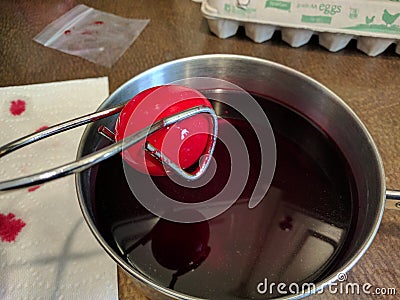 Taking out dark red easter egg dyed for orthodox pascha Stock Photo