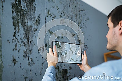 Taking Photo Of Home Wall Mold Damage Stock Photo