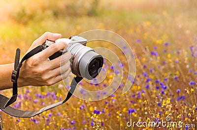 Taking photos Stock Photo