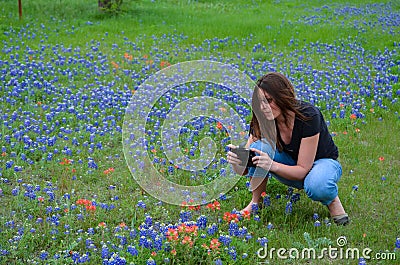 Taking Pictures of Bluebonnets Stock Photo