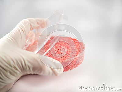 Artificial meat research Stock Photo