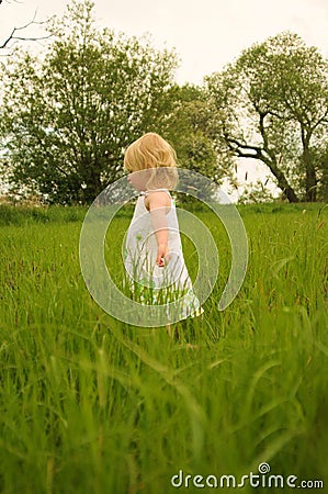 Taking a walk through long grass Stock Photo